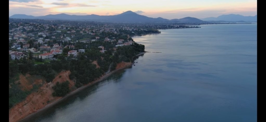 (For Sale) Land Plot || Evoia/Avlida - 1.000 Sq.m, 110.000€ 