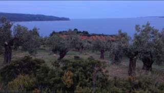 (For Sale) Land Agricultural Land  || Magnisia/Sporades-Alonnisos - 8.000Sq.m, 600.000€ 