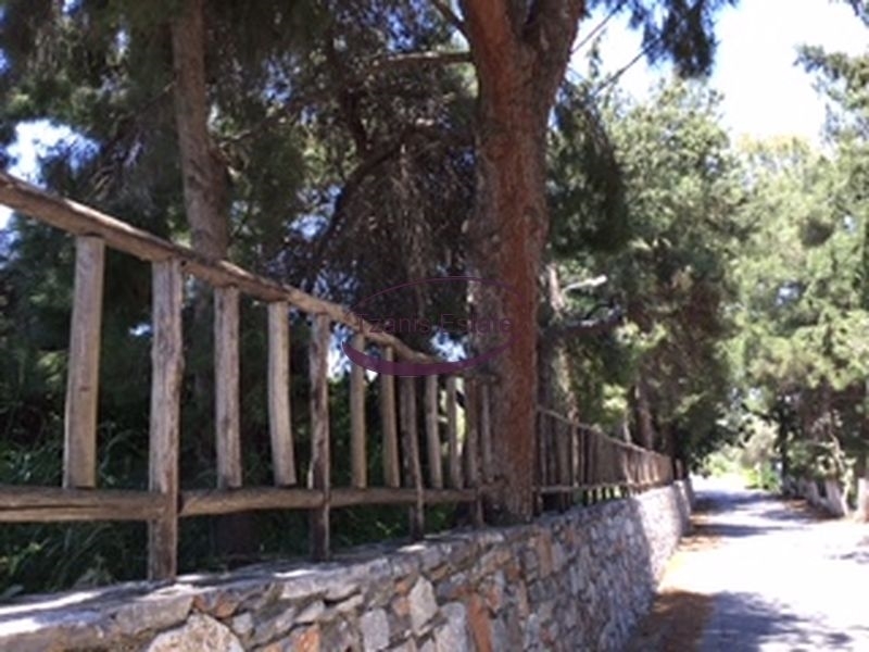 (Προς Πώληση) Αξιοποιήσιμη Γη Αγροτεμάχιο || Ν. Ηρακλείου/Τύλισος - 7.385 τ.μ, 180.000€ 