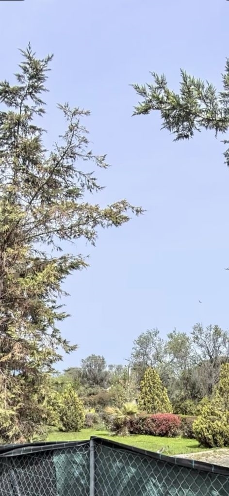 (For Sale) Land Plot || Athens North/Marousi - 2.600 Sq.m, 2.500.000€ 