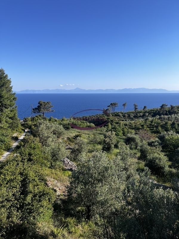 (Προς Πώληση) Αξιοποιήσιμη Γη Οικόπεδο || Ν. Μαγνησίας/Σποράδες-Αλόννησος - 11.500 τ.μ, 750.000€ 