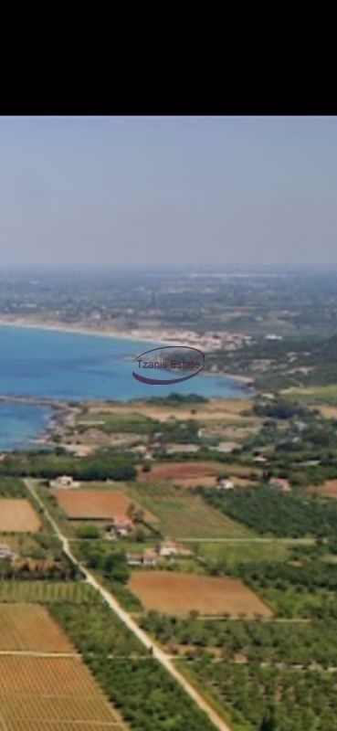 (Προς Πώληση) Αξιοποιήσιμη Γη Αγροτεμάχιο || Ν. Ηλείας/Πύργος - 65.000 τ.μ, 2.350.000€ 