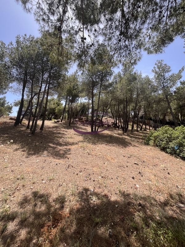 (For Sale) Land Plot || East Attica/Rafina - 568 Sq.m, 98.000€ 